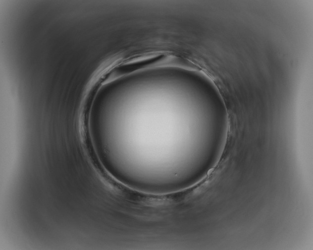 X0000113760245200909301115