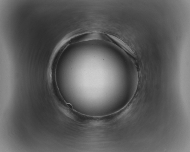 X0000113760246200909301115
