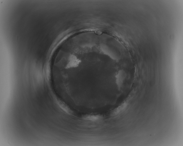 X0000113760247200909301115