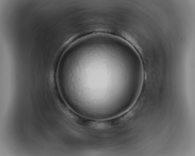 X0000113760249200909301115