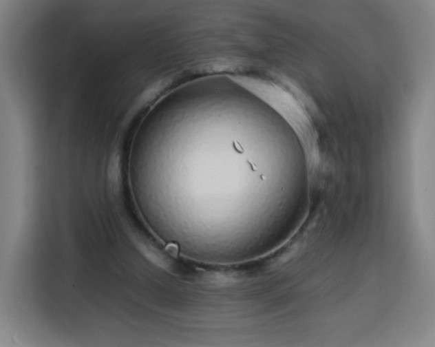 X0000113760250200909301115