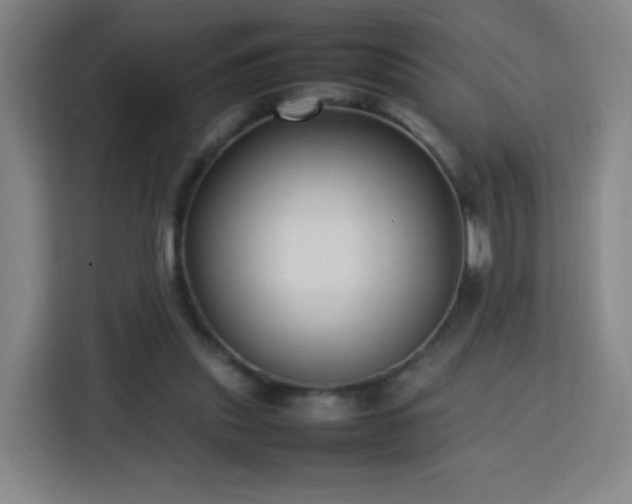X0000113760253200909301115