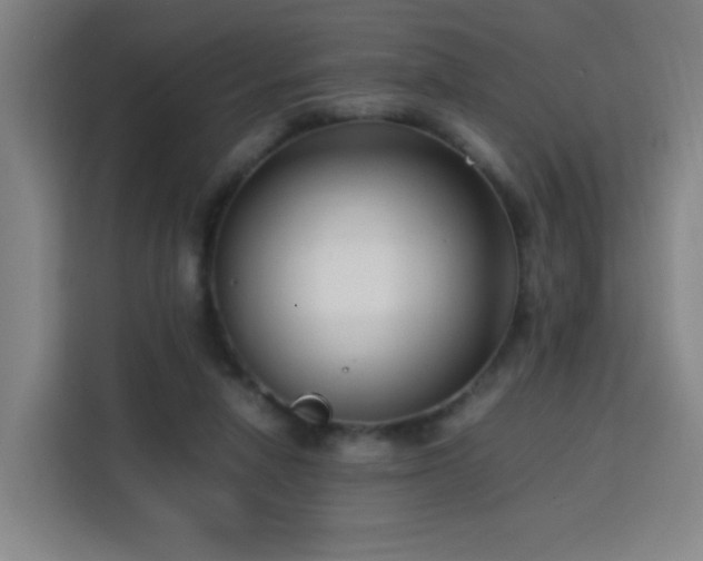 X0000113760258200909301115