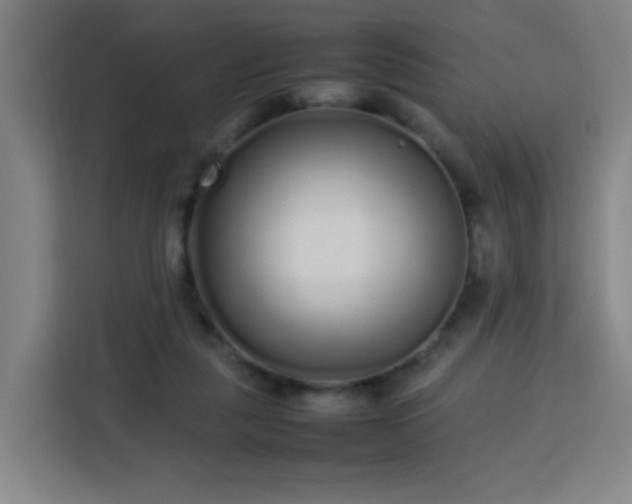X0000113760259200909301115