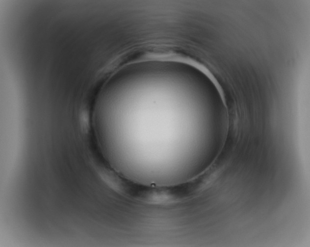X0000113760262200909301115