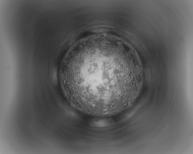 X0000113760267200909301115