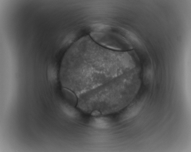 X0000113760268200909301115