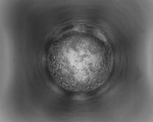 X0000113760271200909301115