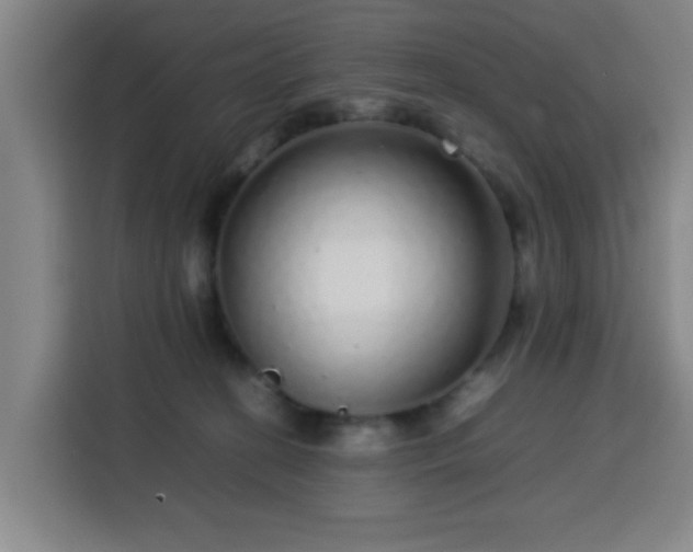 X0000113760274200909301115