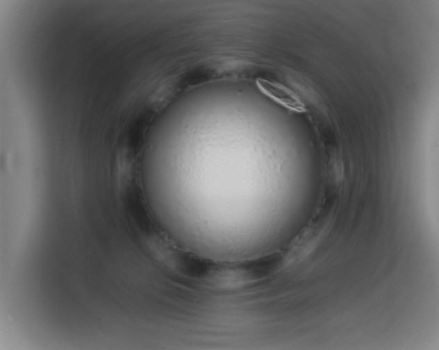 X0000113760276200909301115