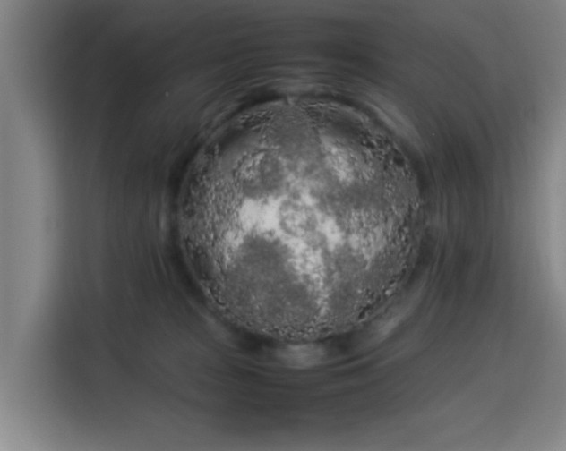 X0000113760277200909301115