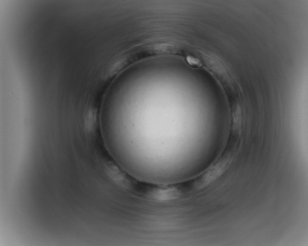 X0000113760278200909301115