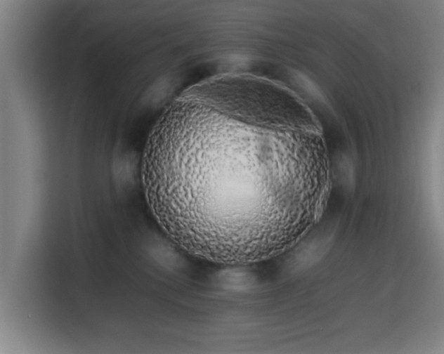 X0000113760280200909301115