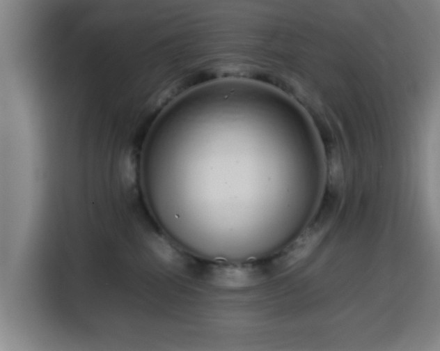 X0000113760282200909301115