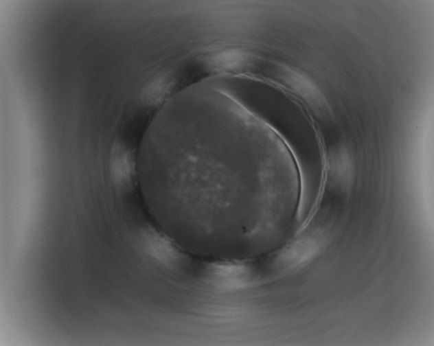 X0000113760284200909301115