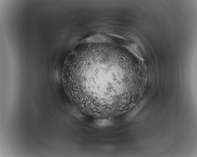 X0000113760285200909301115
