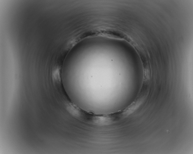 X0000113760286200909301115