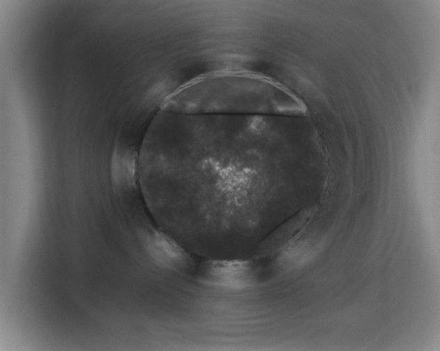X0000113760288200909301115
