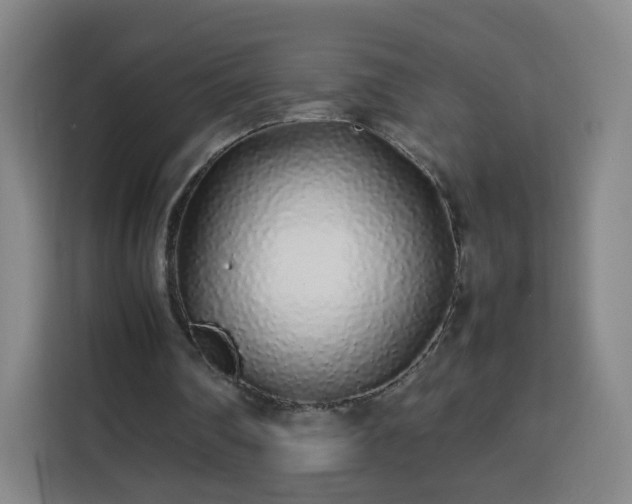 X0000113760290200909301115