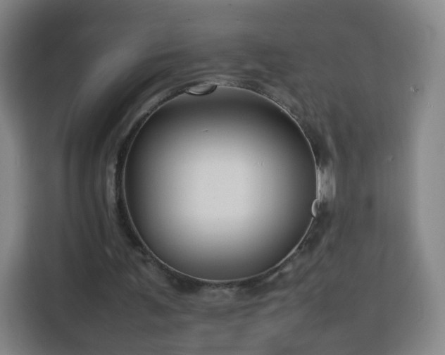 X0000113760291200909301115