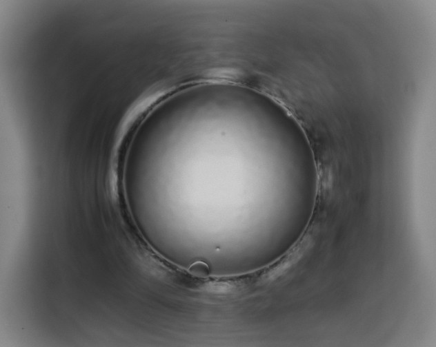 X0000113760294200909301115