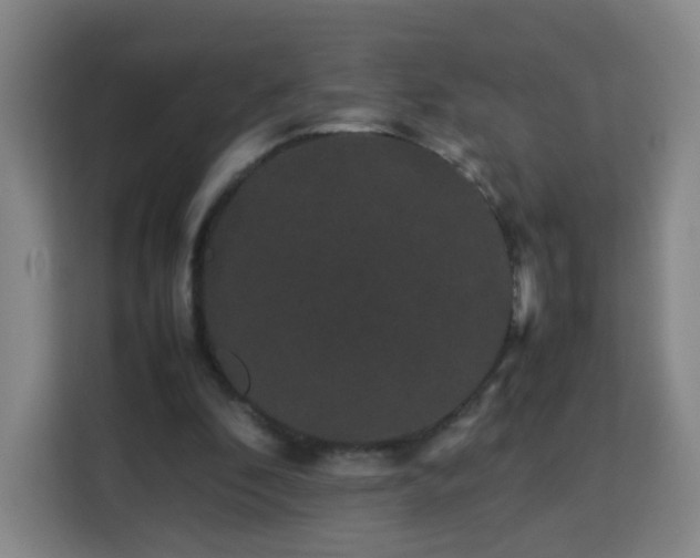 X0000113760296200909301115