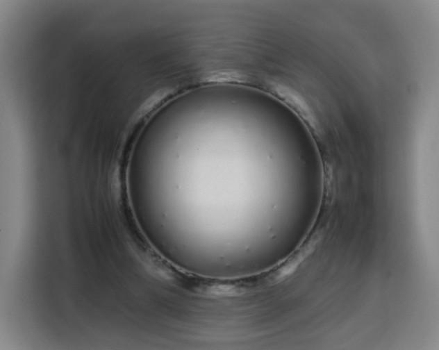 X0000113760298200909301115