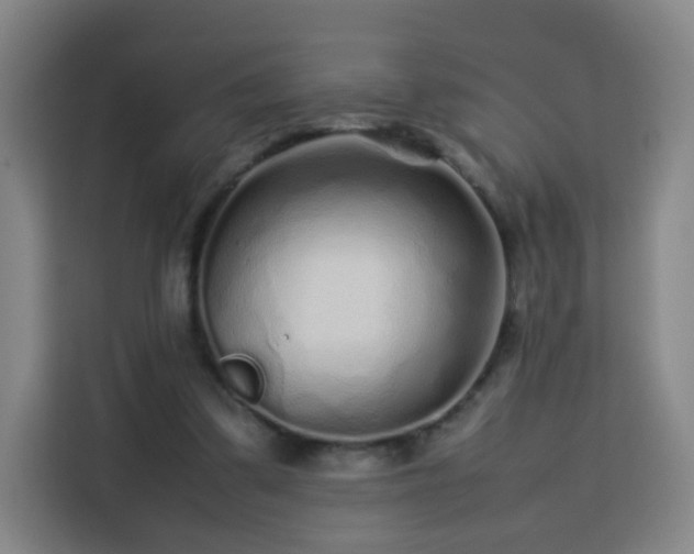 X0000113760299200909301115