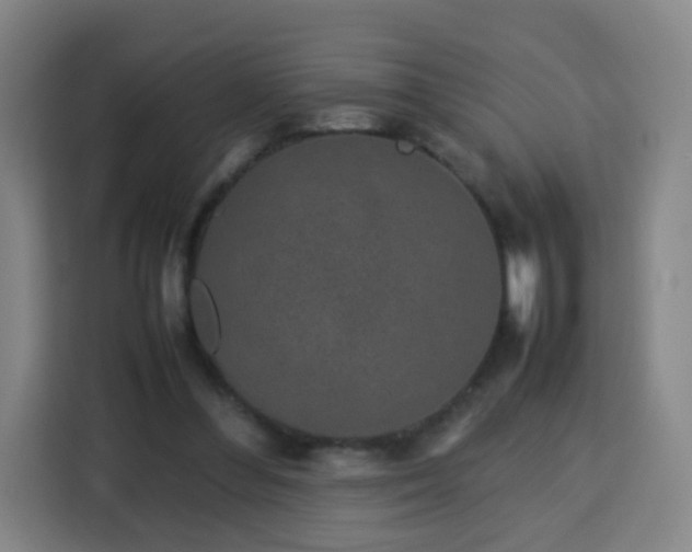 X0000113760300200909301115
