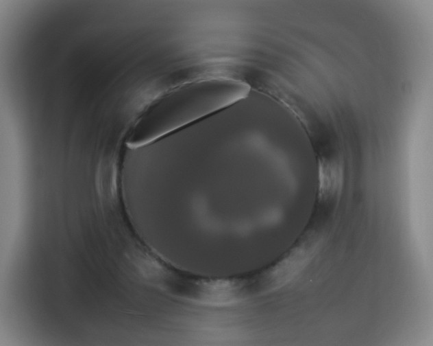 X0000113760301200909301115