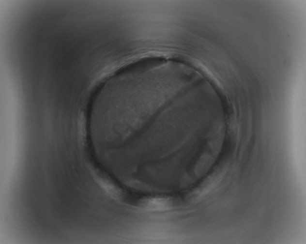 X0000113760303200909301115