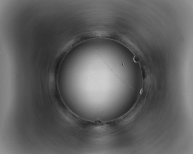 X0000113760306200909301115