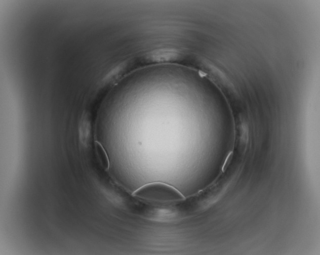 X0000113760308200909301115