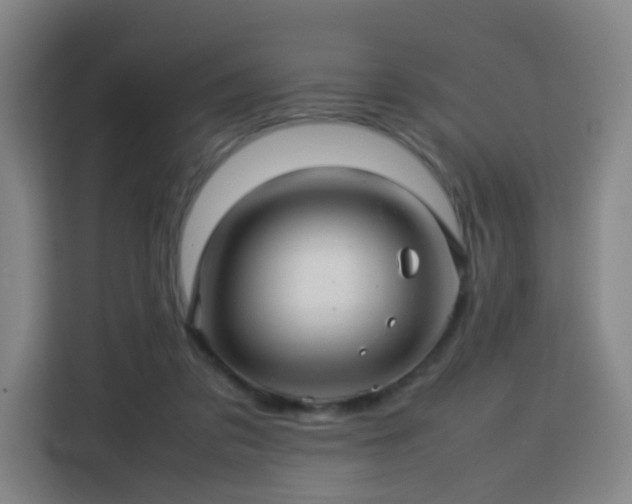 X0000113760309200909301115