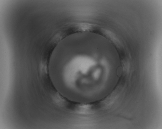 X0000113760313200909301114