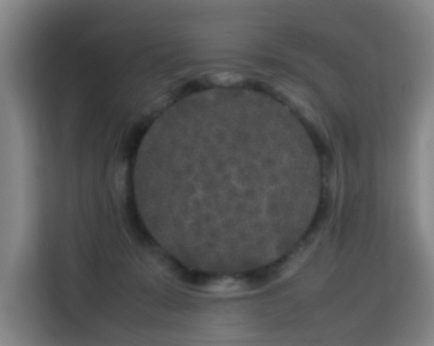 X0000113760319200909301114
