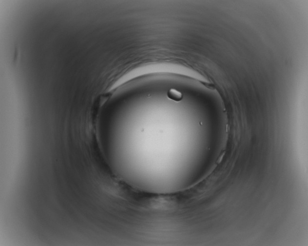 X0000113760320200909301114