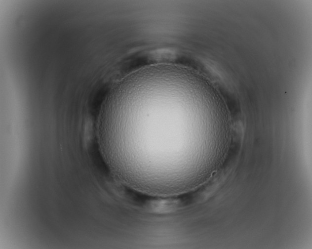 X0000113760323200909301114