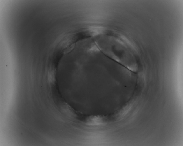 X0000113760325200909301114
