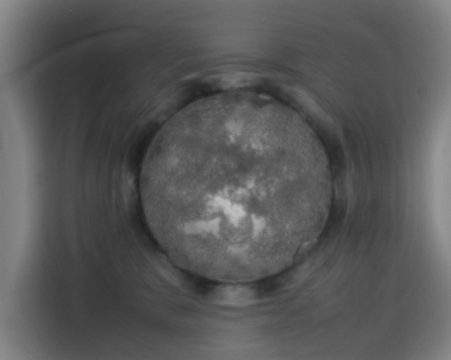X0000113760327200909301114