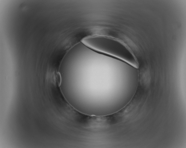 X0000113760329200909301114