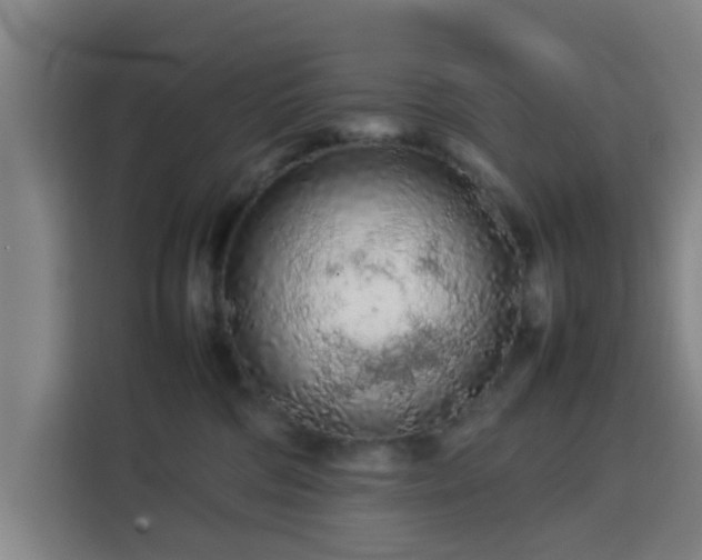 X0000113760330200909301114