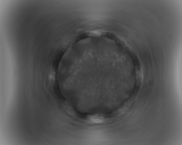 X0000113760331200909301114