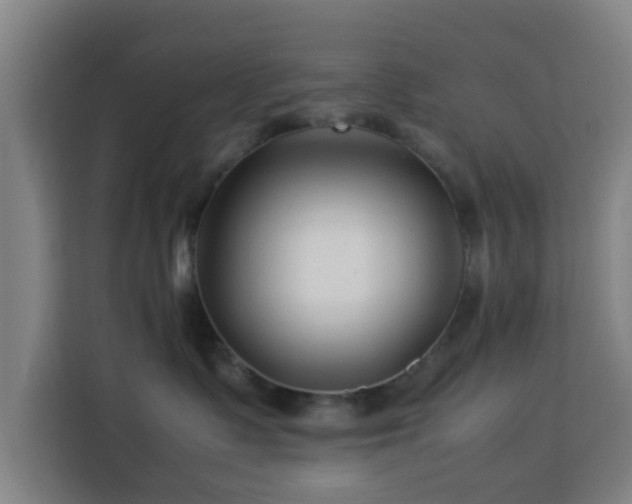 X0000113760335200909301114