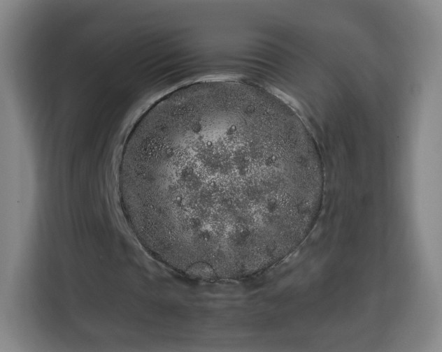 X0000113760337200909301114