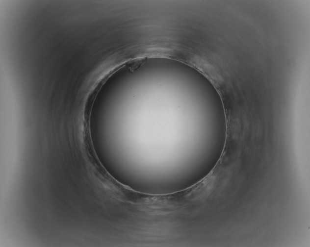 X0000113760338200909301114