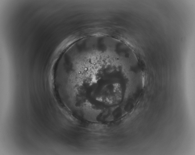 X0000113760339200909301114