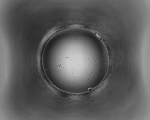X0000113760341200909301114