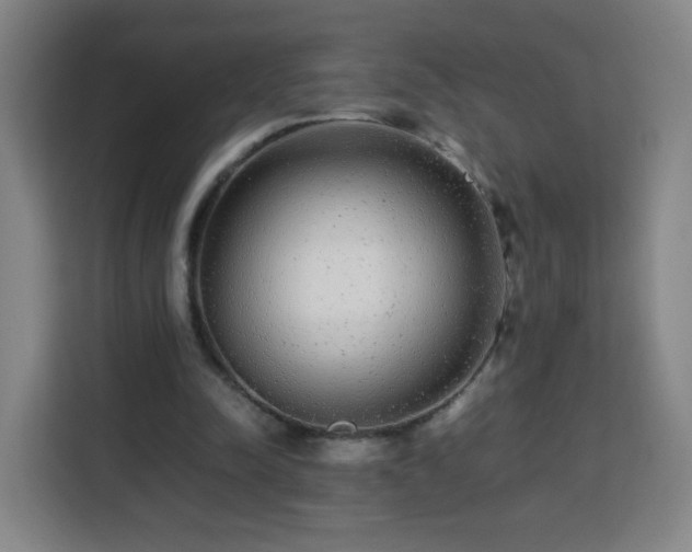 X0000113760342200909301114