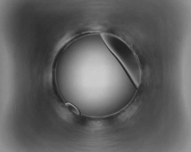 X0000113760344200909301114
